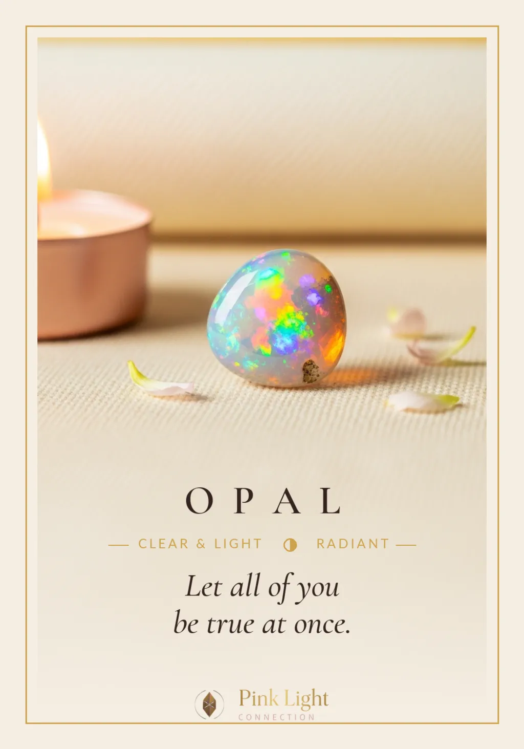 Opal card art