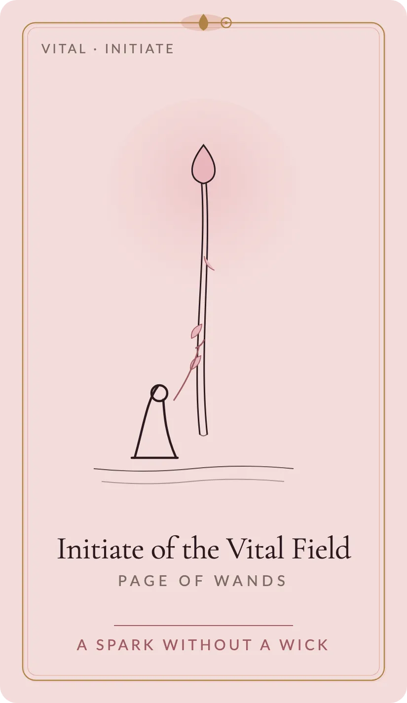 Initiate of the Vital Field card art